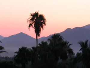 baja sunset